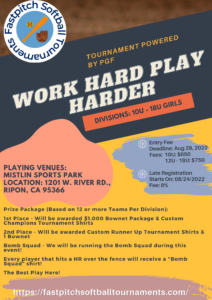 Read more about the article Work Hard Play Harder