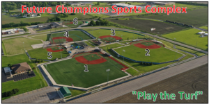 Read more about the article Illinois Softball Future Champions Fathers Day Play The Turf