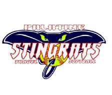 Read more about the article Illinois Softball Tournaments Stingray Showdown