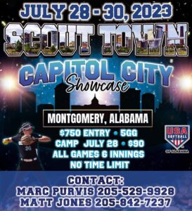 Read more about the article USA SCOUT TOWN CAPITOL CITY SHOWCASE