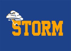 Read more about the article Halloween Bash / Storm Pennsylvania Softball