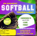 Read more about the article Summerfest Pennsylvania Softball