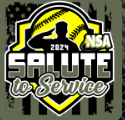 Read more about the article NSA Salute 2 Service – RINGS – Saturday Only Michigan Softball