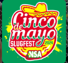 Read more about the article NSA Cinco de Mayo – Potterville – Rings – 200 Ft Michigan Softball